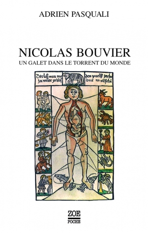 Nicolas Bouvier. Un galet dans le torrent du monde